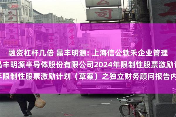 融资杠杆几倍 晶丰明源: 上海信公轶禾企业管理咨询有限公司关于上海晶丰明源半导体股份有限公司2024年限制性股票激励计划（草案）之独立财务顾问报告内容摘要