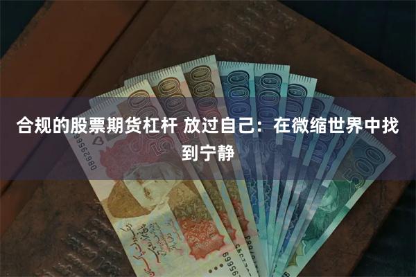 合规的股票期货杠杆 放过自己：在微缩世界中找到宁静