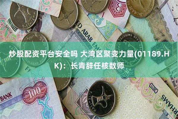 炒股配资平台安全吗 大湾区聚变力量(01189.HK)：长青辞任核数师