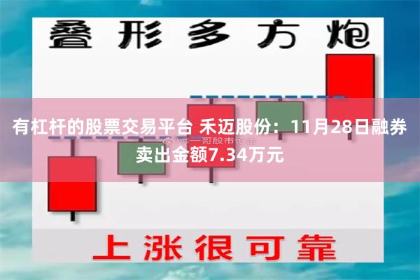 有杠杆的股票交易平台 禾迈股份：11月28日融券卖出金额7.34万元