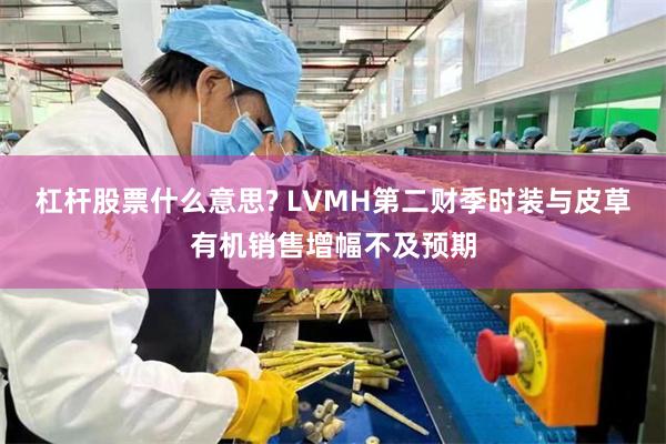 杠杆股票什么意思? LVMH第二财季时装与皮草有机销售增幅不及预期