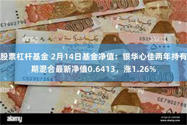 股票杠杆基金 2月14日基金净值：银华心佳两年持有期混合最新净值0.6413，涨1.26%