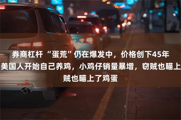 券商杠杆 “蛋荒”仍在爆发中，价格创下45年新高！美国人开始自己养鸡，小鸡仔销量暴增，窃贼也瞄上了鸡蛋