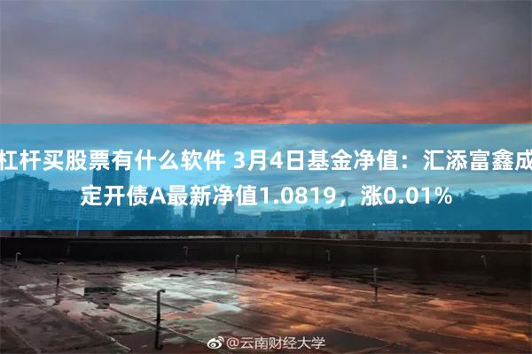 杠杆买股票有什么软件 3月4日基金净值：汇添富鑫成定开债A最新净值1.0819，涨0.01%